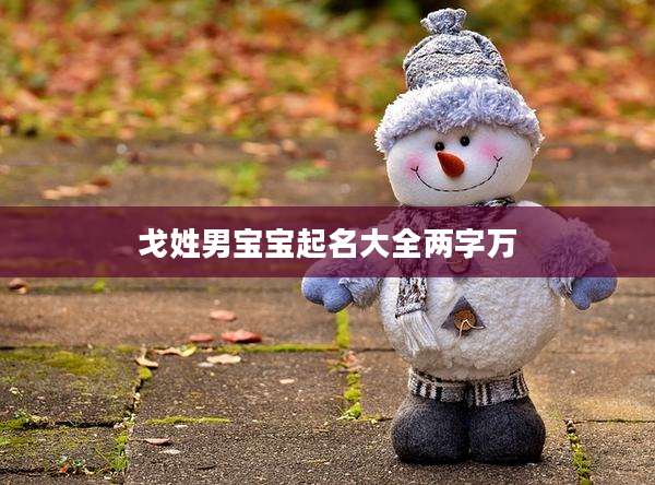 戈姓男宝宝起名大全两字万