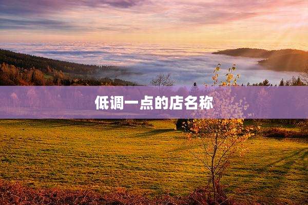 低调一点的店名称