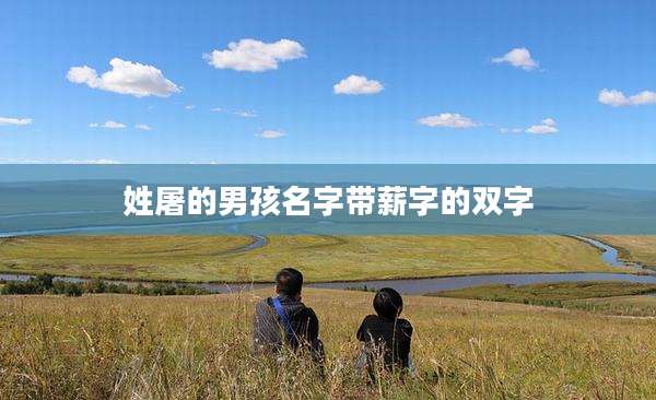 姓屠的男孩名字带薪字的双字