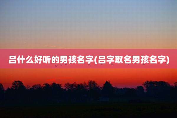 吕什么好听的男孩名字(吕字取名男孩名字)