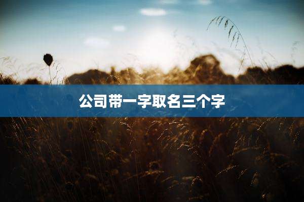 公司带一字取名三个字