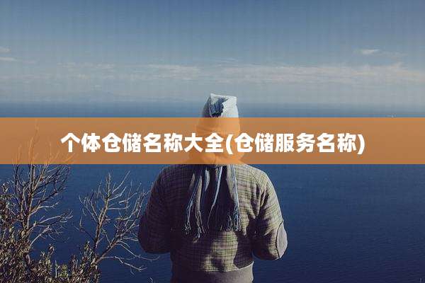 个体仓储名称大全(仓储服务名称)