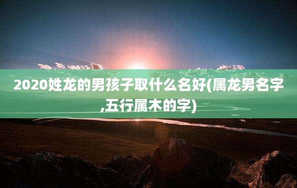 2020姓龙的男孩子取什么名好(属龙男名字,五行属木的字)