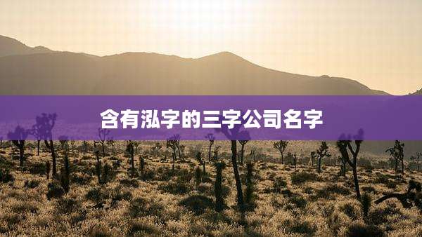 含有泓字的三字公司名字