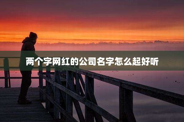 两个字网红的公司名字怎么起好听