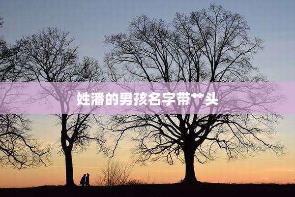 姓潘的男孩名字带艹头