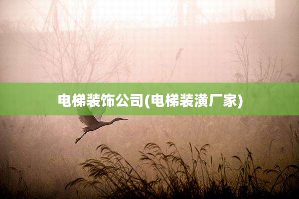 电梯装饰公司(电梯装潢厂家)