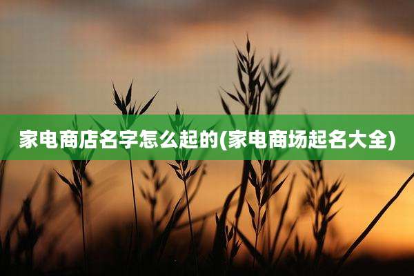 家电商店名字怎么起的(家电商场起名大全)