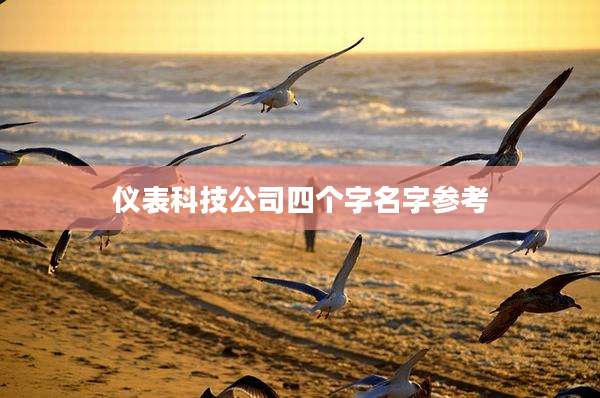 仪表科技公司四个字名字参考