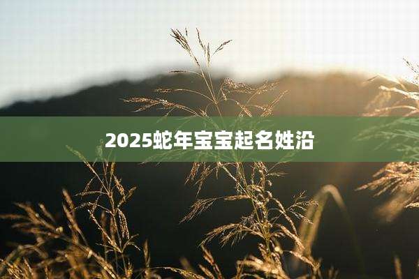 2025蛇年宝宝起名姓沿