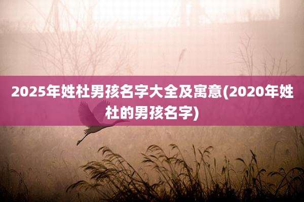 2025年姓杜男孩名字大全及寓意(2020年姓杜的男孩名字)