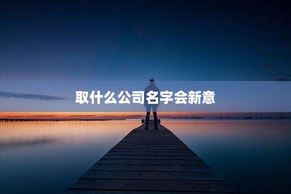 取什么公司名字会新意