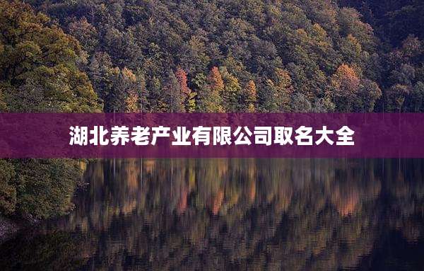 湖北养老产业有限公司取名大全