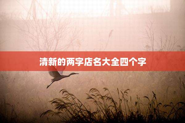 清新的两字店名大全四个字