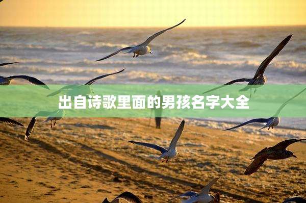 出自诗歌里面的男孩名字大全