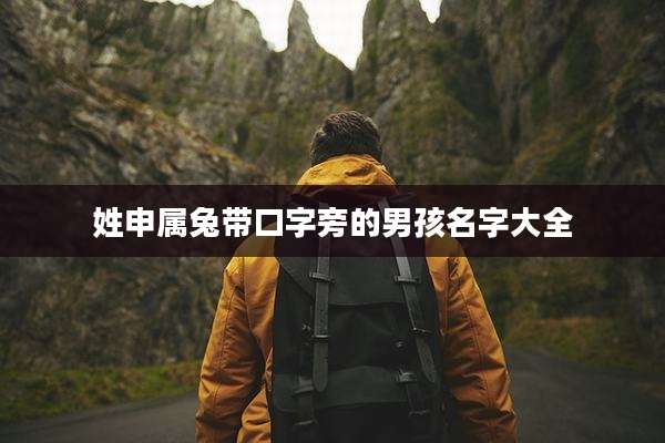 姓申属兔带口字旁的男孩名字大全
