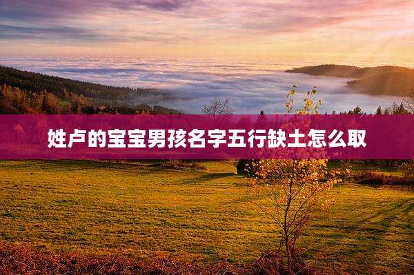 姓卢的宝宝男孩名字五行缺土怎么取