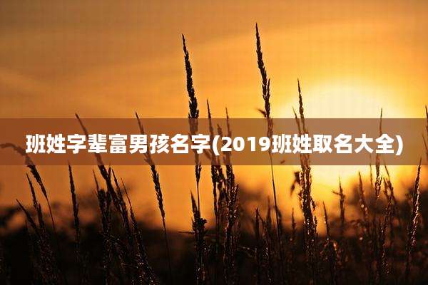 班姓字辈富男孩名字(2019班姓取名大全)