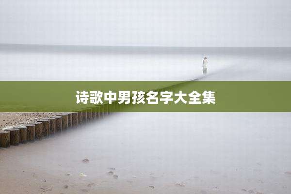 诗歌中男孩名字大全集