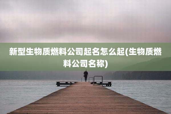 新型生物质燃料公司起名怎么起(生物质燃料公司名称)