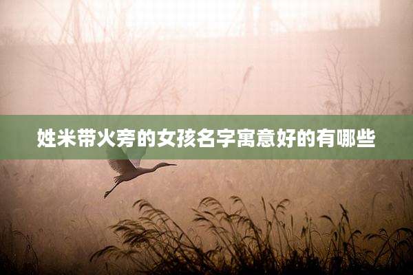 姓米带火旁的女孩名字寓意好的有哪些