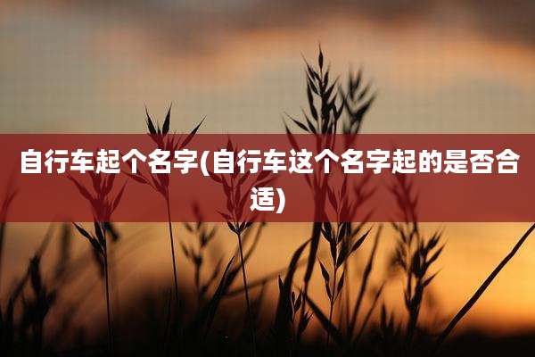 自行车起个名字(自行车这个名字起的是否合适)