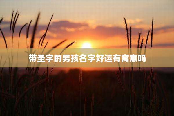 带圣字的男孩名字好运有寓意吗