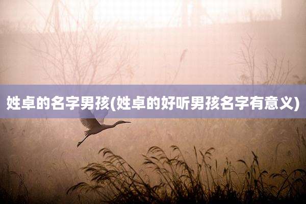 姓卓的名字男孩(姓卓的好听男孩名字有意义)