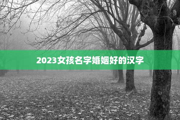 2023女孩名字婚姻好的汉字