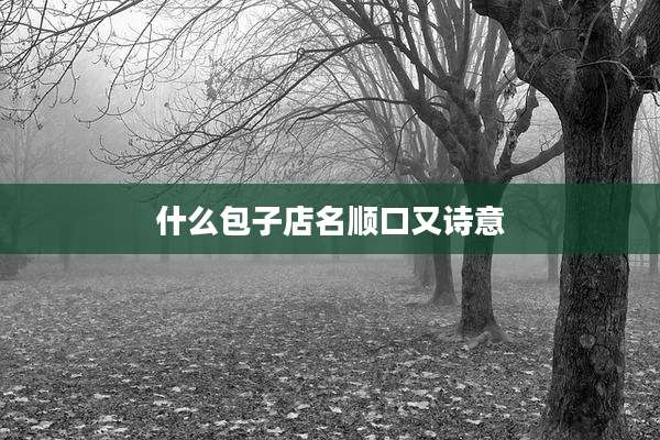 什么包子店名顺口又诗意