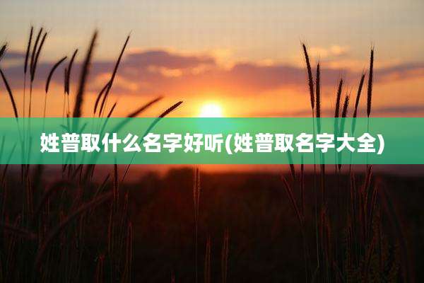 姓普取什么名字好听(姓普取名字大全)