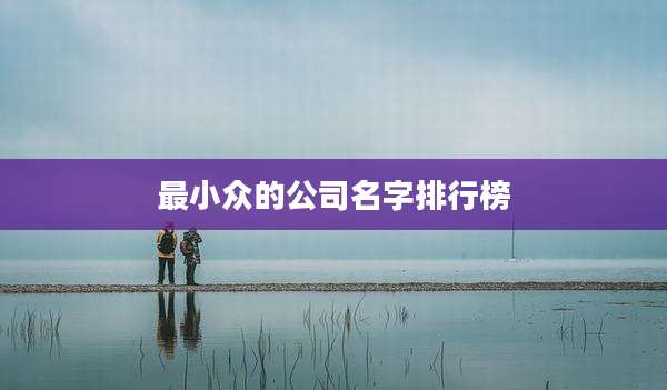 最小众的公司名字排行榜