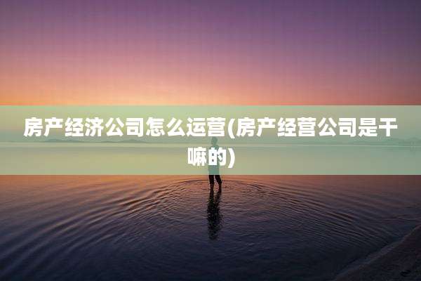 房产经济公司怎么运营(房产经营公司是干嘛的)
