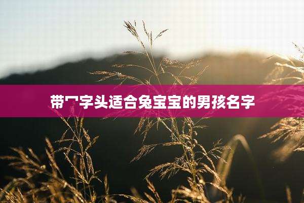 带冖字头适合兔宝宝的男孩名字