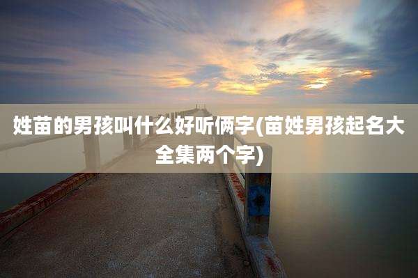 姓苗的男孩叫什么好听俩字(苗姓男孩起名大全集两个字)