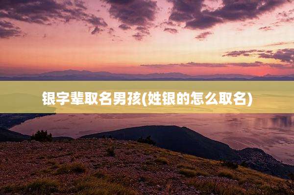 银字辈取名男孩(姓银的怎么取名)