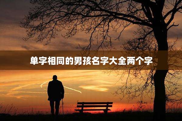 单字相同的男孩名字大全两个字