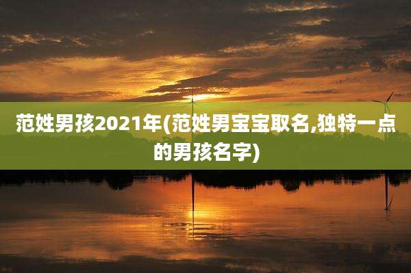 范姓男孩2021年(范姓男宝宝取名,独特一点的男孩名字)