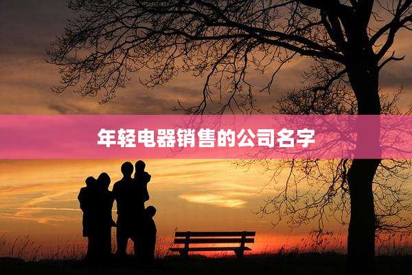年轻电器销售的公司名字