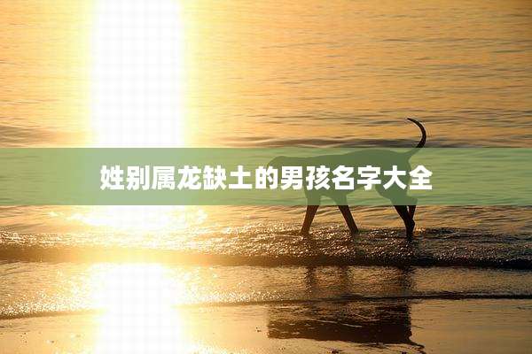 姓别属龙缺土的男孩名字大全