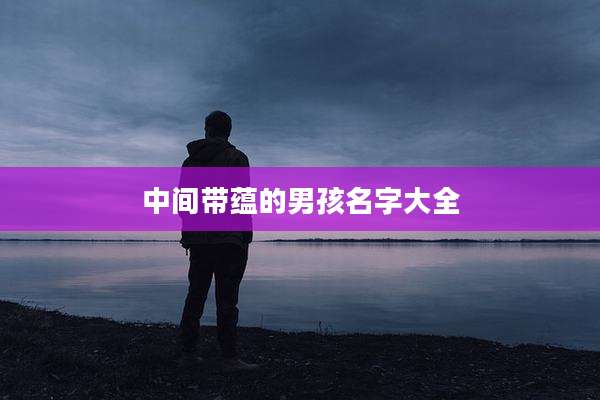 中间带蕴的男孩名字大全