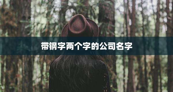 带钢字两个字的公司名字
