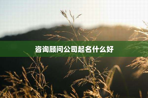 咨询顾问公司起名什么好