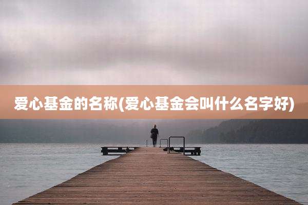 爱心基金的名称(爱心基金会叫什么名字好)