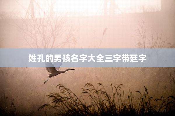姓孔的男孩名字大全三字带廷字