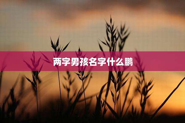 两字男孩名字什么鹏