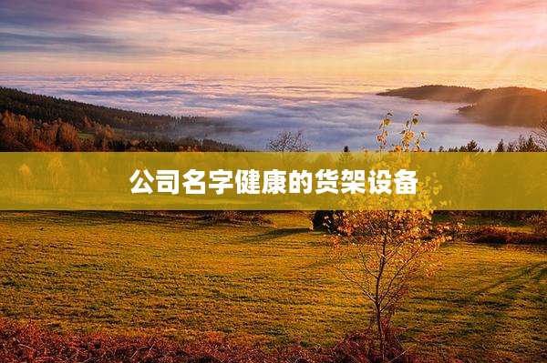 公司名字健康的货架设备