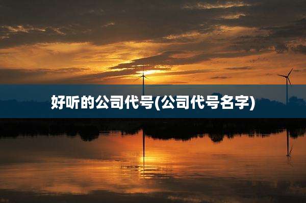 好听的公司代号(公司代号名字)