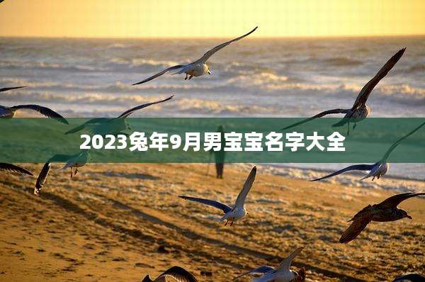 2023兔年9月男宝宝名字大全