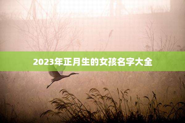 2023年正月生的女孩名字大全